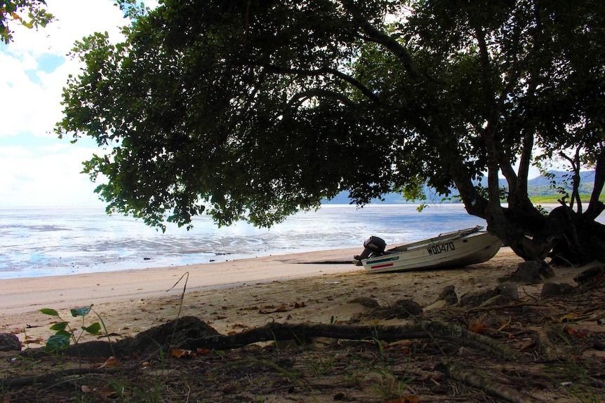 A dinghy pulled up on a beach.