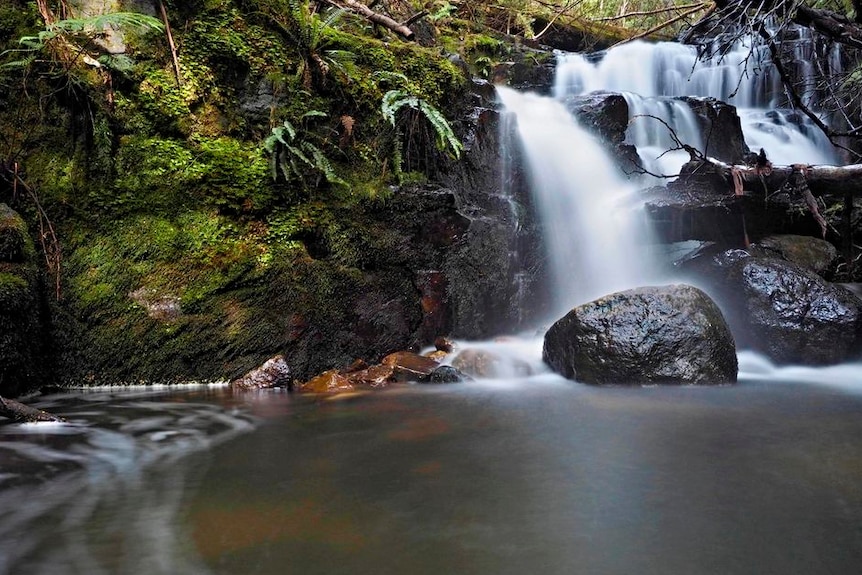 A waterfall spills over mossy rocks into a stream on Mount Wellington