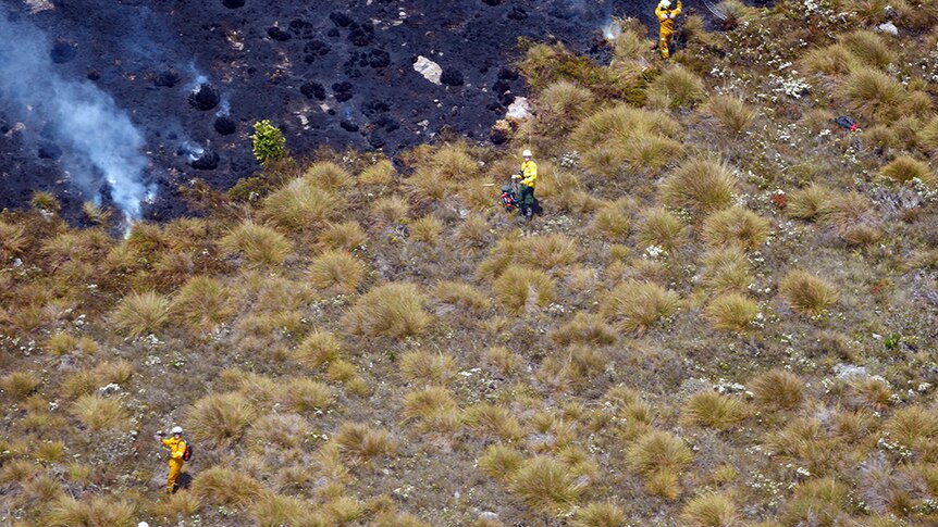 Firefighters on the ground in Tasmanian wilderness