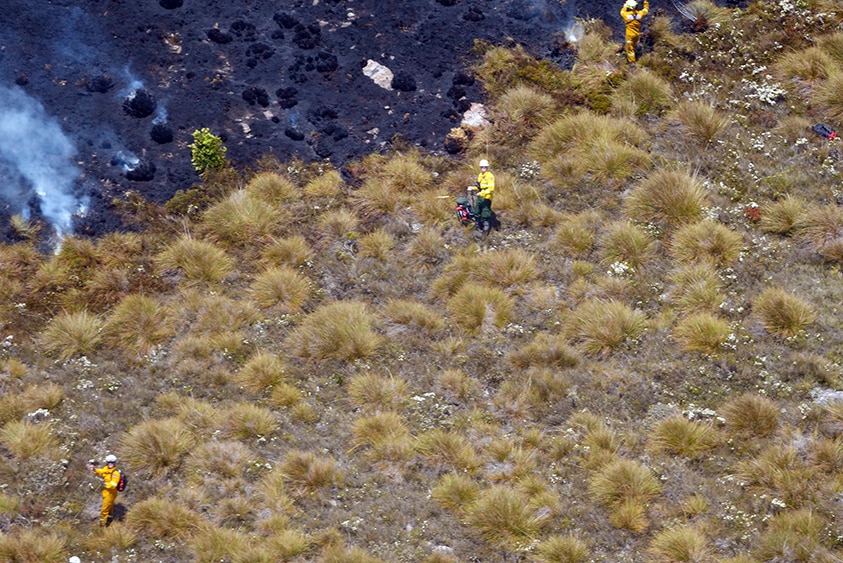 Firefighters on the ground in Tasmanian wilderness