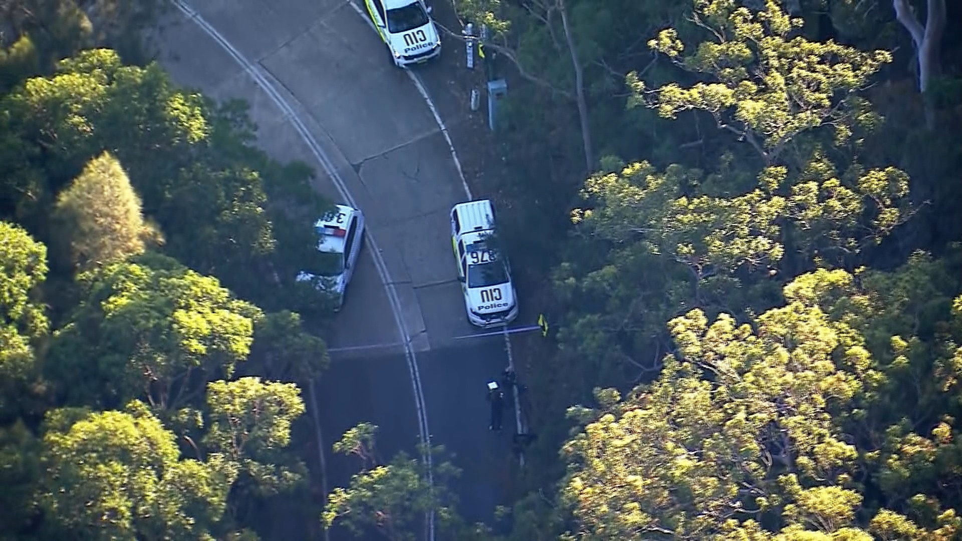 An aerial shot of three police cars on a road surrounded by trees with investigators in uniform nearby.