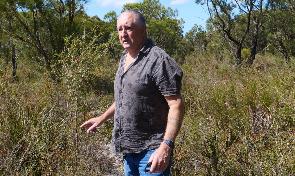 A medium shot of man standing in bushland