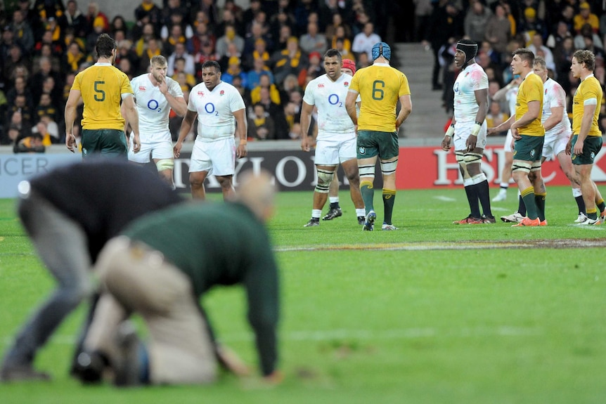 Ground staff repair the AAMI Park turf as the Wallabies play England