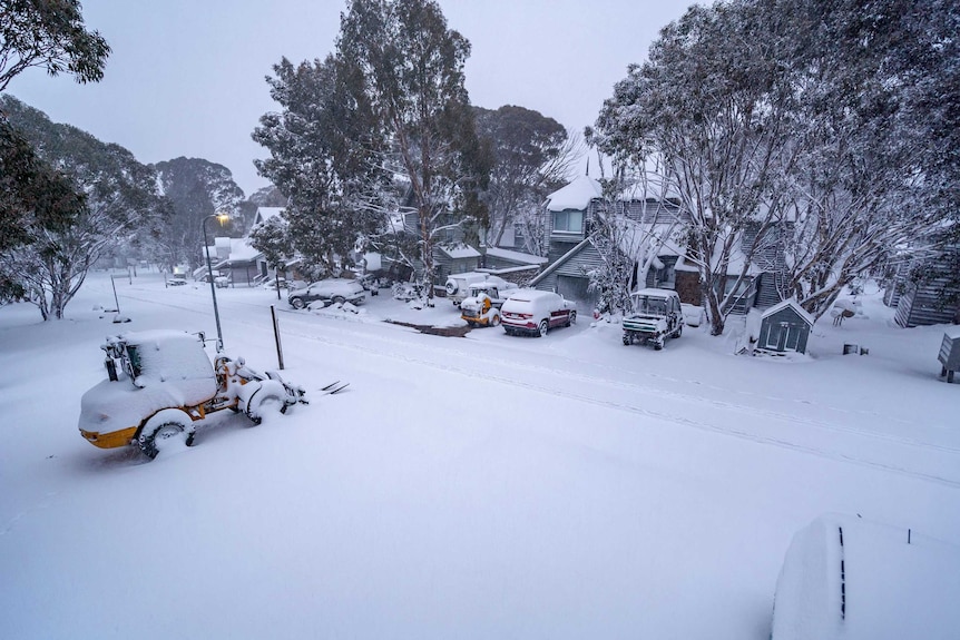 Vehicles covered in April snow