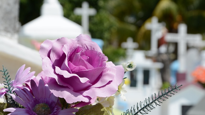 Pink floral tribute on unidentified grave in cemetery.