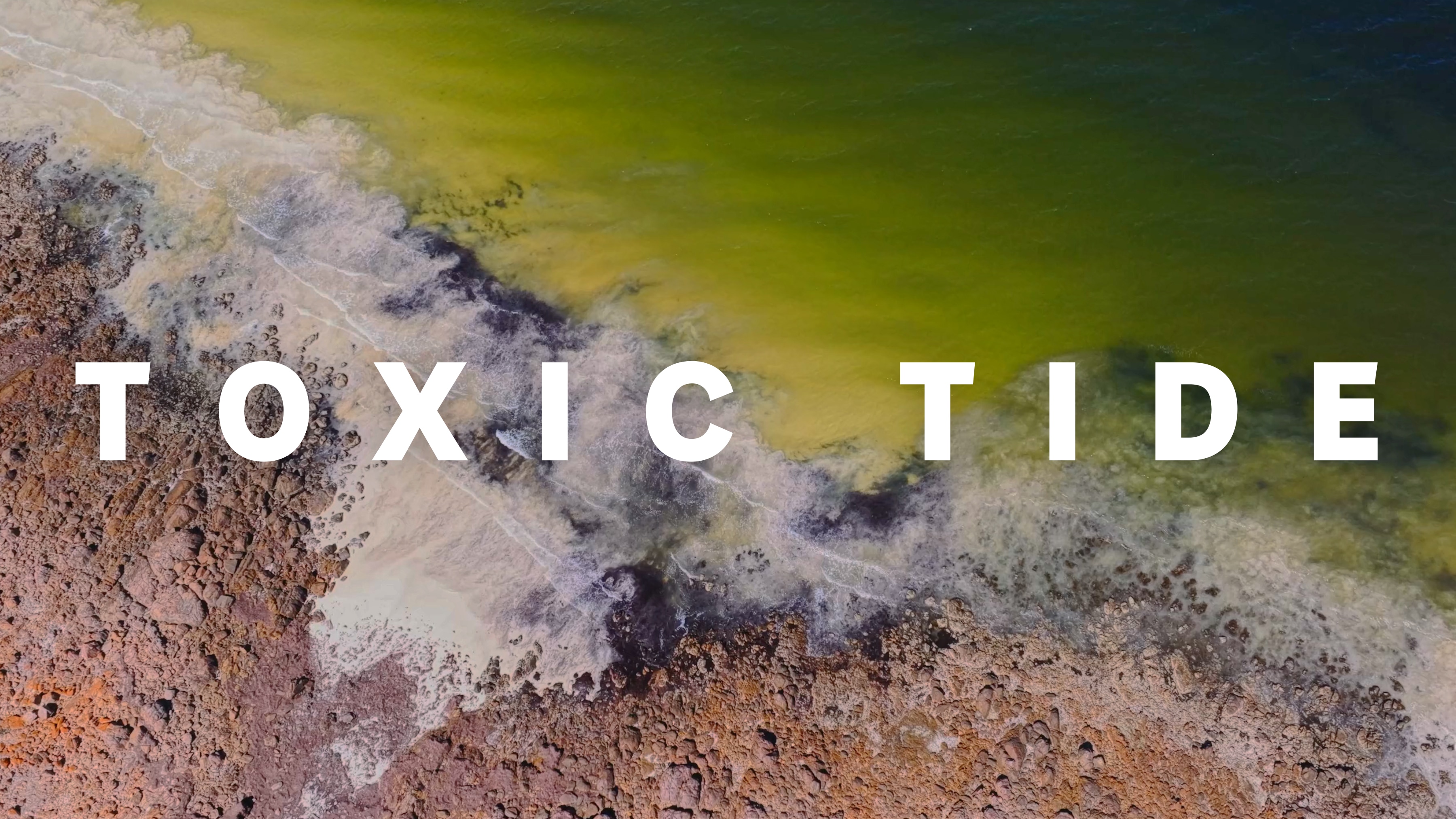 Aerial view of a rocky shoreline and green-tinged ocean water. Text reads: Toxic Tide.