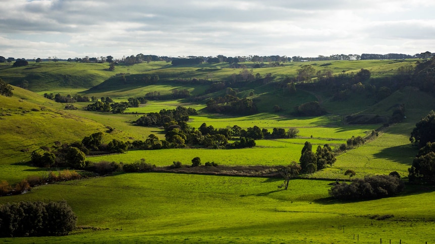 Rolling green hills in the Victorian countryside.