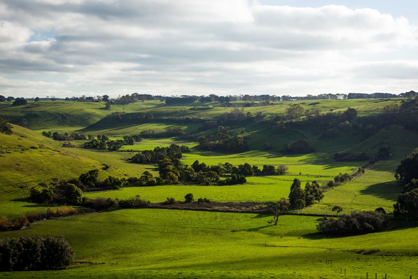 Cobden is a perfect base for daytrips, meaning you can easily access both the coast and hinterland.