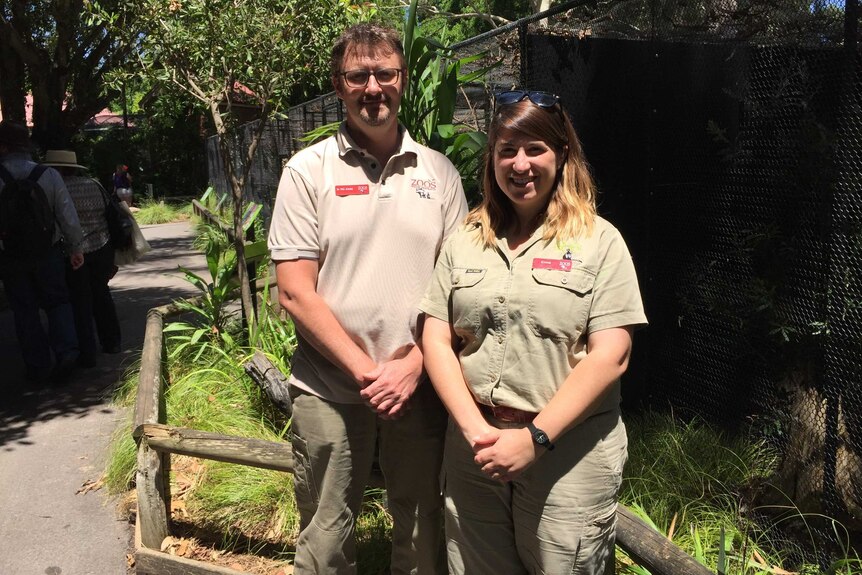 Zookeepers at Adelaide Zoo