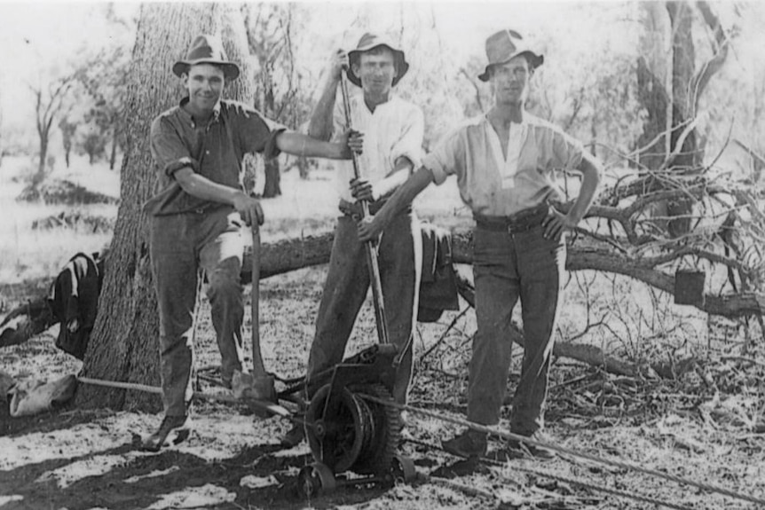 Black and white photo of returned WWI servicemen clearing scrub.