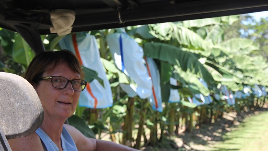A close up Lyn Palmer in a quad bike with banana trees in the background.