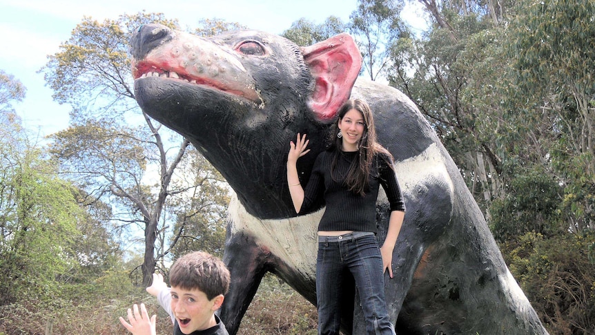 Big Tasmanian Devil at Mole Creek, Tasmania