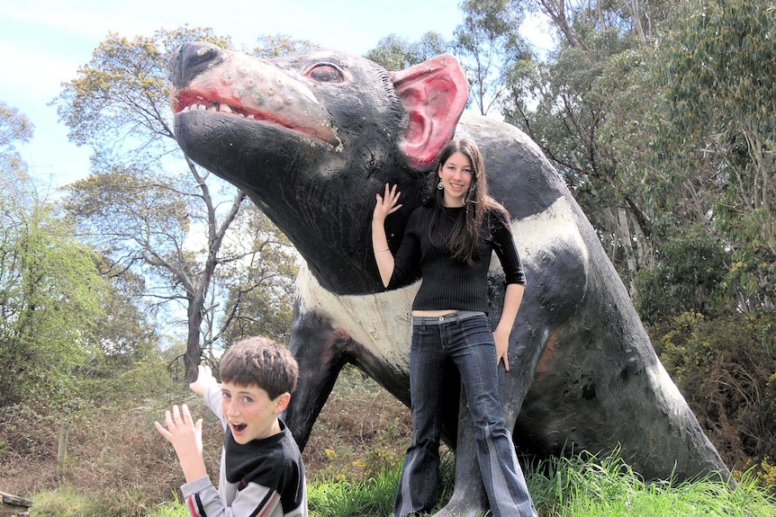 Big Tasmanian Devil at Mole Creek, Tasmania