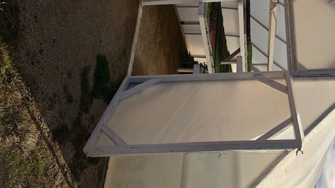 A white greenhouse with the door open and trays of microgreens inside.