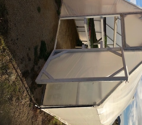 A white greenhouse with the door open and trays of microgreens inside.