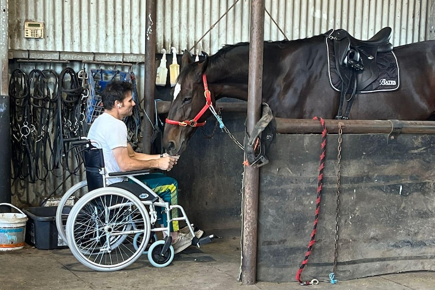 A man in a wheelchair strokes the neck of a horse.
