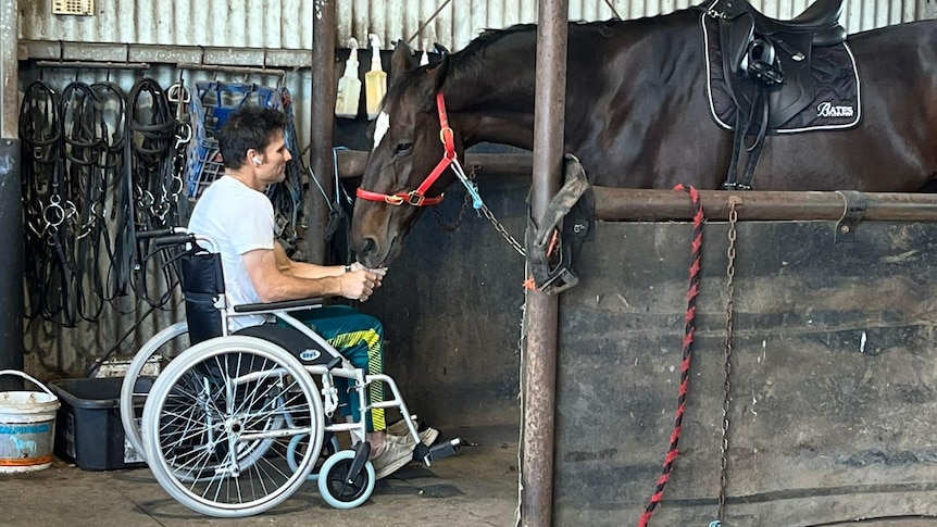 A man in a wheelchair strokes the neck of a horse.