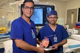 Two doctors stand in the middle of a hospital room holding a model of a heart.