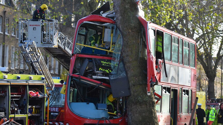 London bus crashes into streetside tree