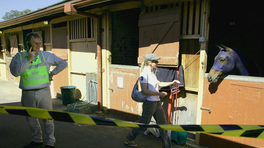 A NSW Agriculture officer keeps an eye on horses quarantined at Centennial Park.