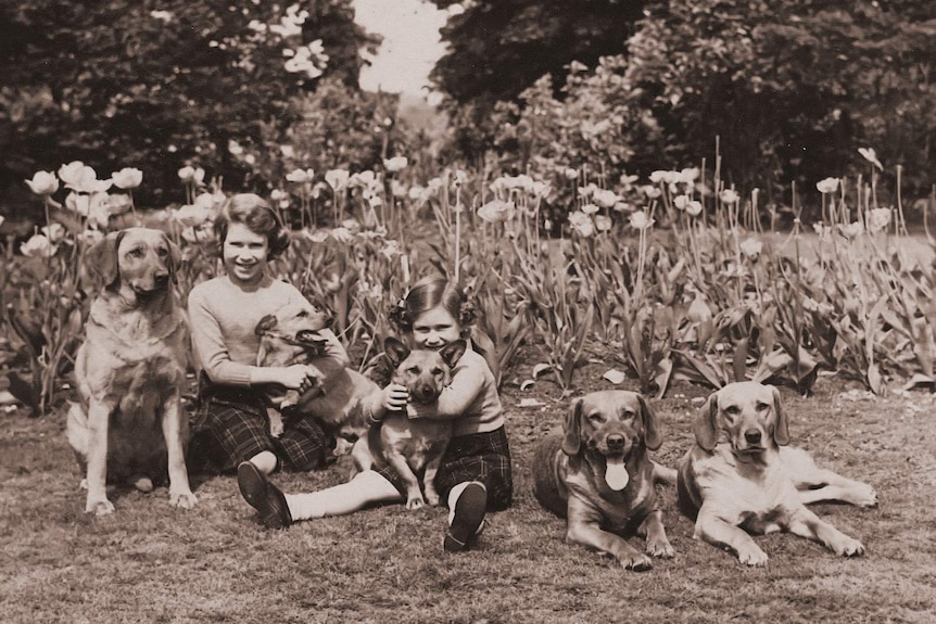 Princess Elizabeth and younger sister Margaret with two of their beloved corgis