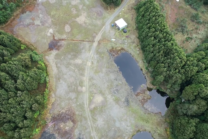 a drone shot of an open area surrounded bytrees