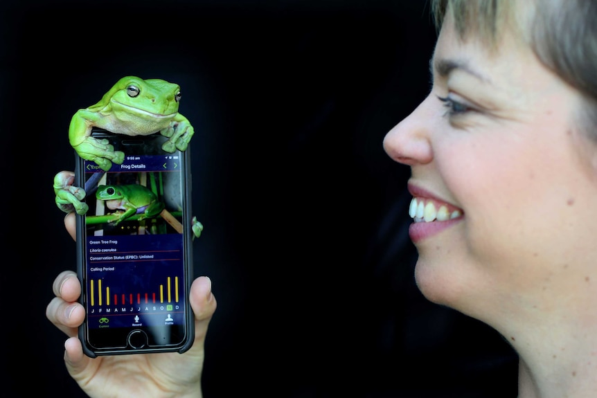 A woman in side profile holds a phone with a frog ID app open on it, and with a real frog sitting on the phone.