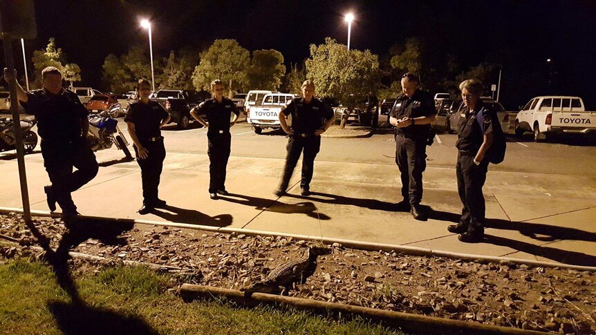Police stand by and watch a small croc