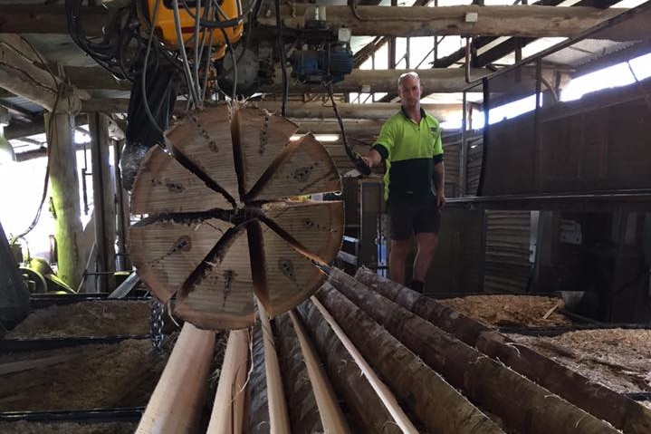 Planks of radially sawn timber sit in a row in the mill at Yarram, Victoria.