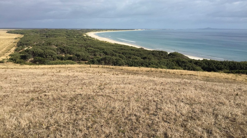 The Tasmanian landscape - Australia's largest wind farm is planned for Tasmania