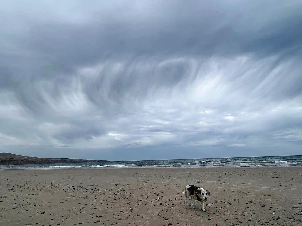 Cloud over a beach in SA as a dog walks along a beach
