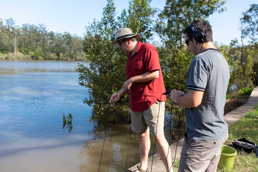 Dr Simon Linke (l) from Griffith's Australian Rivers Institute studies the sounds of fish with a colleague.