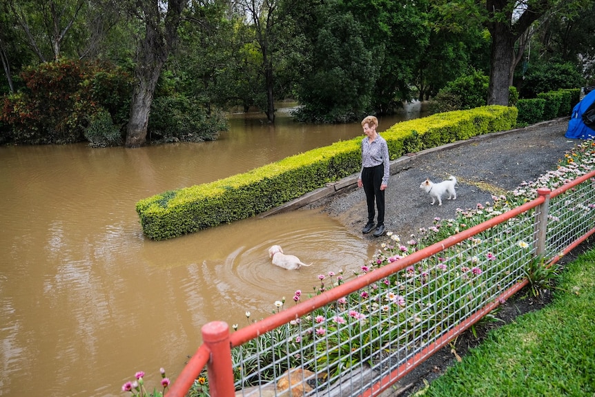A woman standing on a driveway which leads into floodwater.