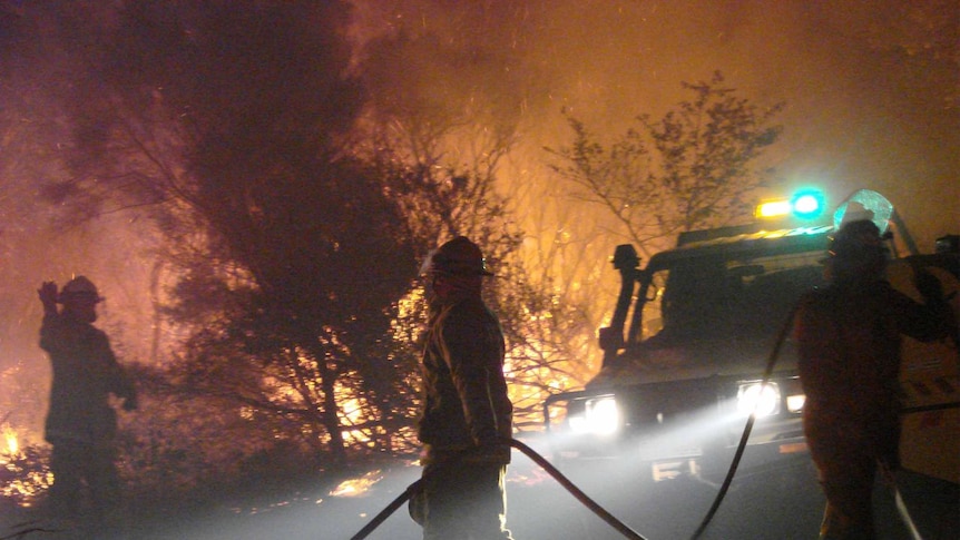 Fire crews battle the blazes near Castaways Beach overnight.