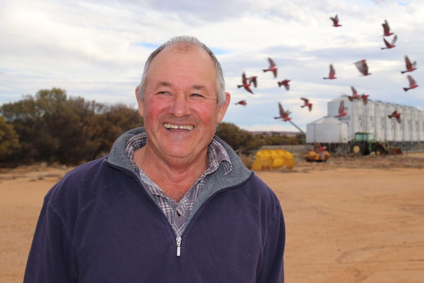 A mid-shot of a smiling Max Lancaster standing on his farm with grain silos and pink and grey cockatoos in the background.