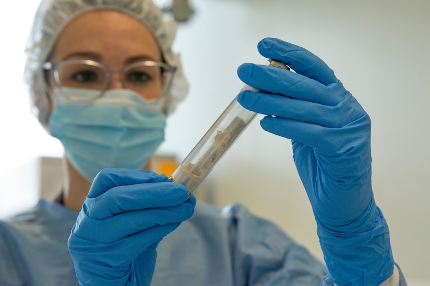 A woman in full PPE looks at bone in a test tube 