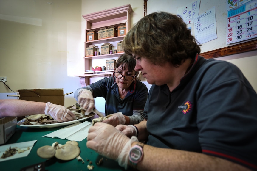 Team leader Mandy Fennessy (left) assisting Melissa Gale with trimming.