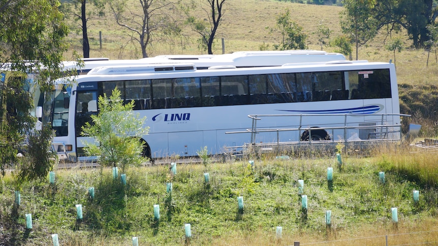 A bus with a logo that reads 'Linq' and some trees covering the front of the bus. 