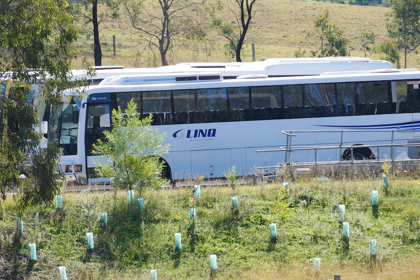 A bus with a logo that reads 'Linq' and some trees covering the front of the bus. 