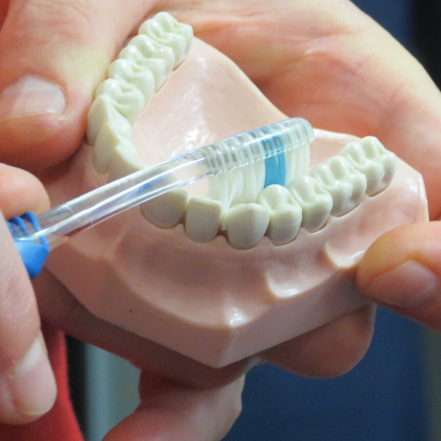 Dentist shows patients correct technique