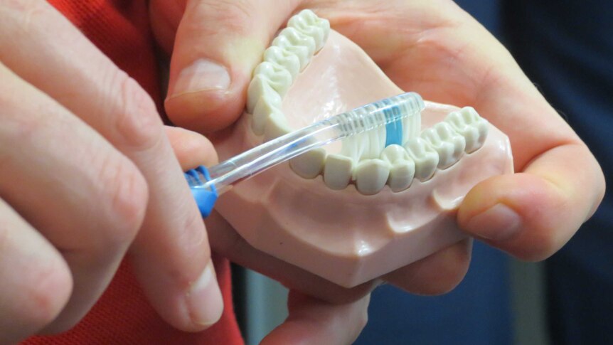 Dentist shows patients correct technique