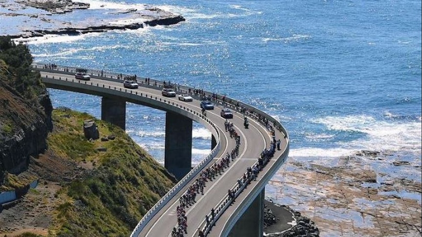 Aeriel view of bike riders and convey of support vehicles snake along Sea Cliff Bridge as ocean sparkles below