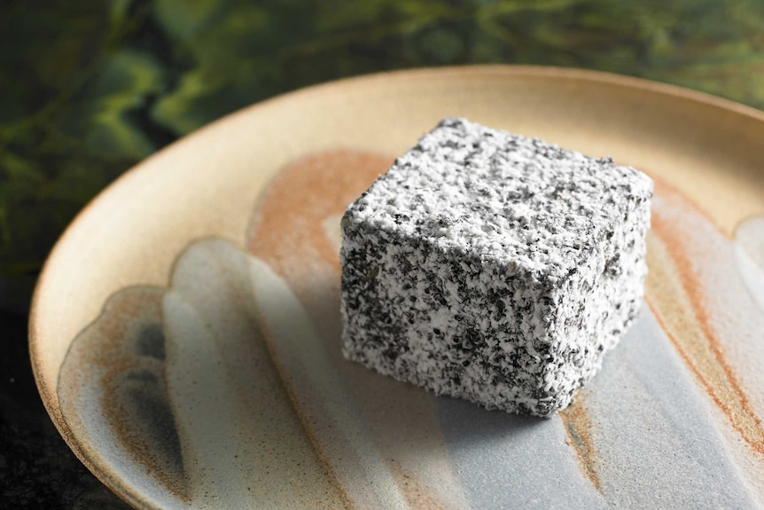 Black ant lamington