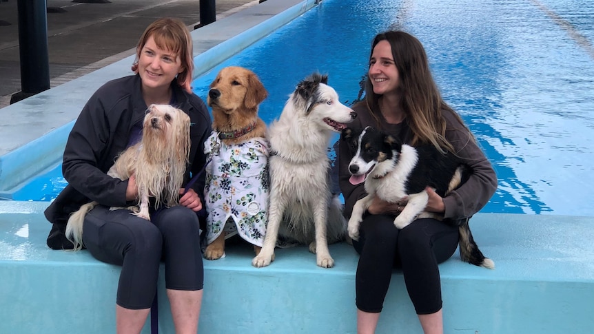 Two women and four dogs smile as they sit on the edge of Glenorchy pool. 