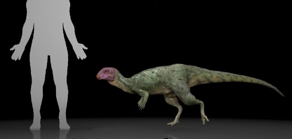 Scientists discover new dinosaur with a face full of spikes - CNET