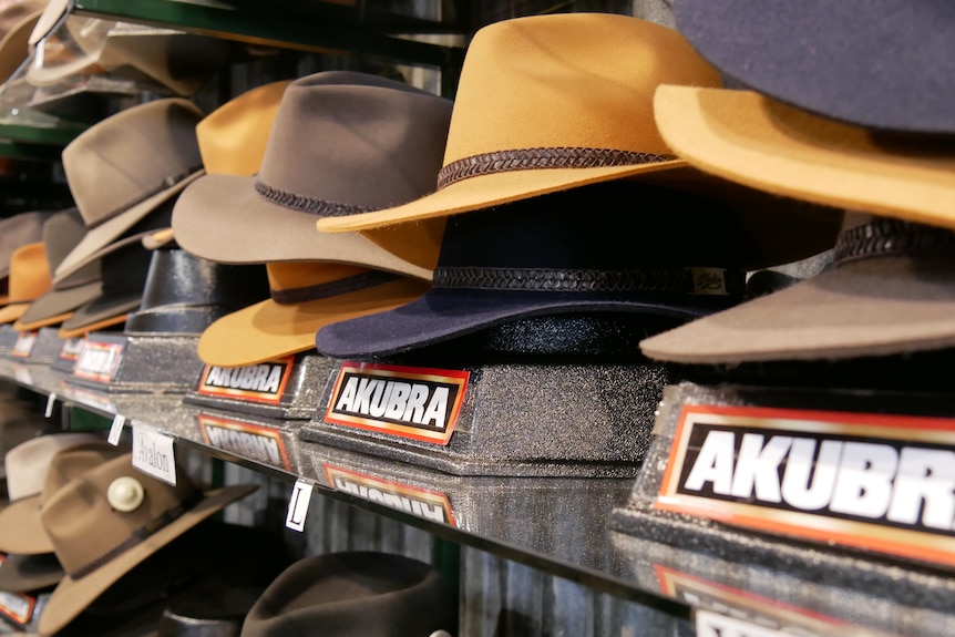 Des piles de chapeaux akubra sur une étagère