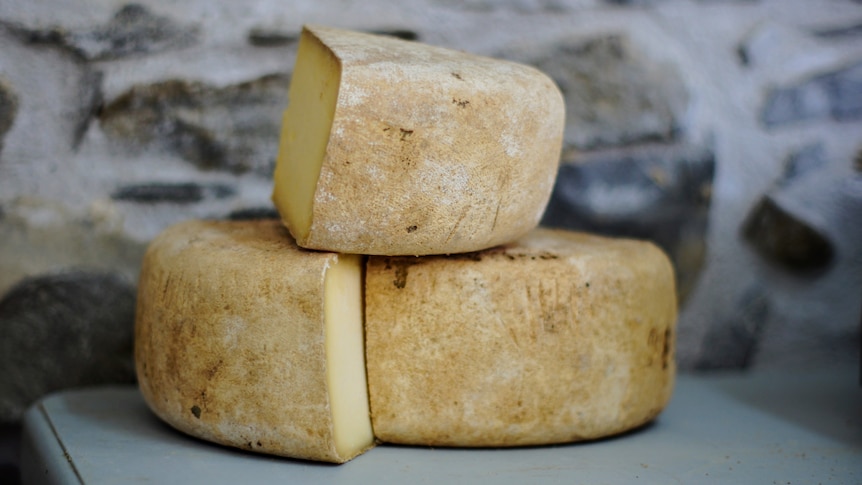 A stack of three large pieces of parmesan cheese.