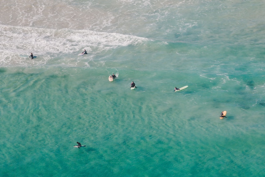 Multiple surfers in the water sitting on their boards.