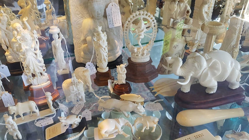 Ivory items for sale 3