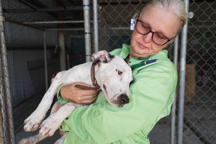 Lisa Hansen is wearing a green shirt and holding a small dog who is cuddling into her. The dog is white and black.